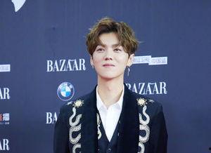 鹿晗明星应援,粉丝力量助力偶像闪耀舞台