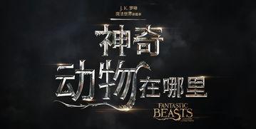 立足于美国AV,创新与争议并存的发展历程