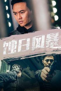 l风暴免费观看,揭秘L风暴独家观看攻略