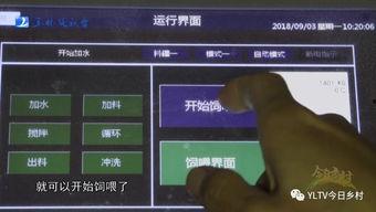 玉林爆料大全视频