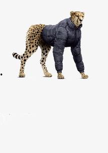 保护动物明星公益,动物明星助力公益行动