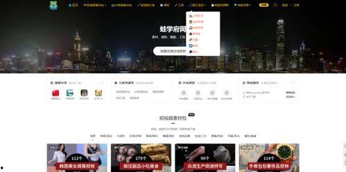 爆料博主视频素材网站,视频素材网站深度解析