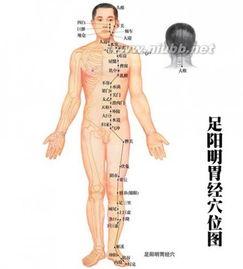 足少阳胆经视频,揭秘人体健康奥秘的经络之道